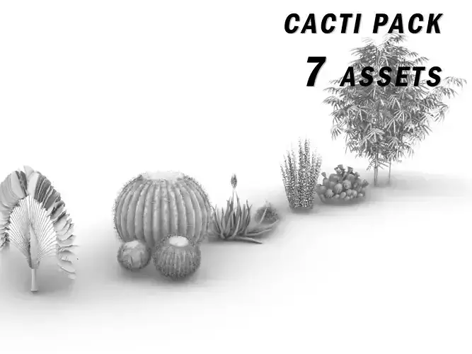CACTI PACK