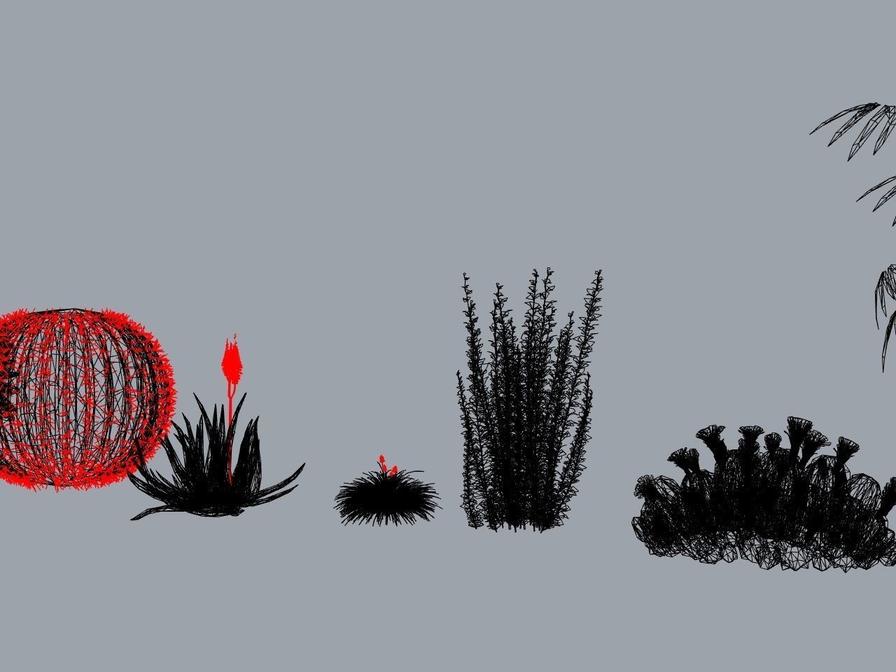 CACTI PACK Low-poly 3D model_10