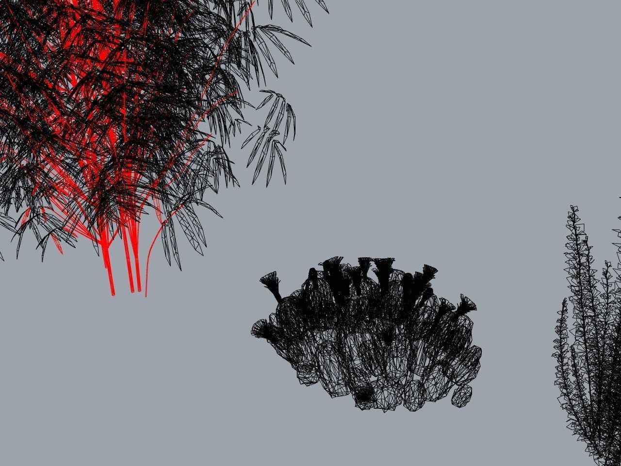 CACTI PACK Low-poly 3D model_7