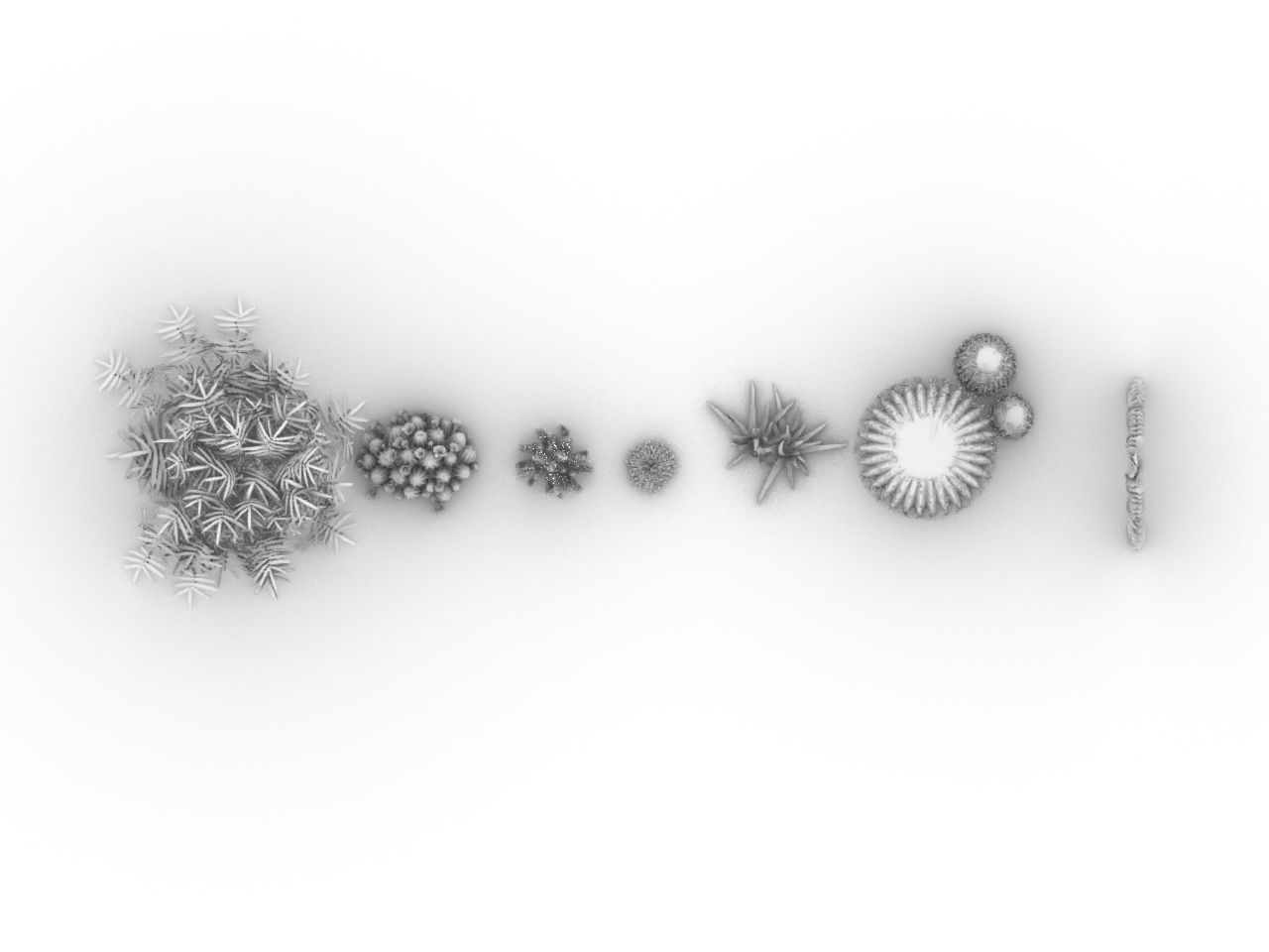 CACTI PACK Low-poly 3D model_5