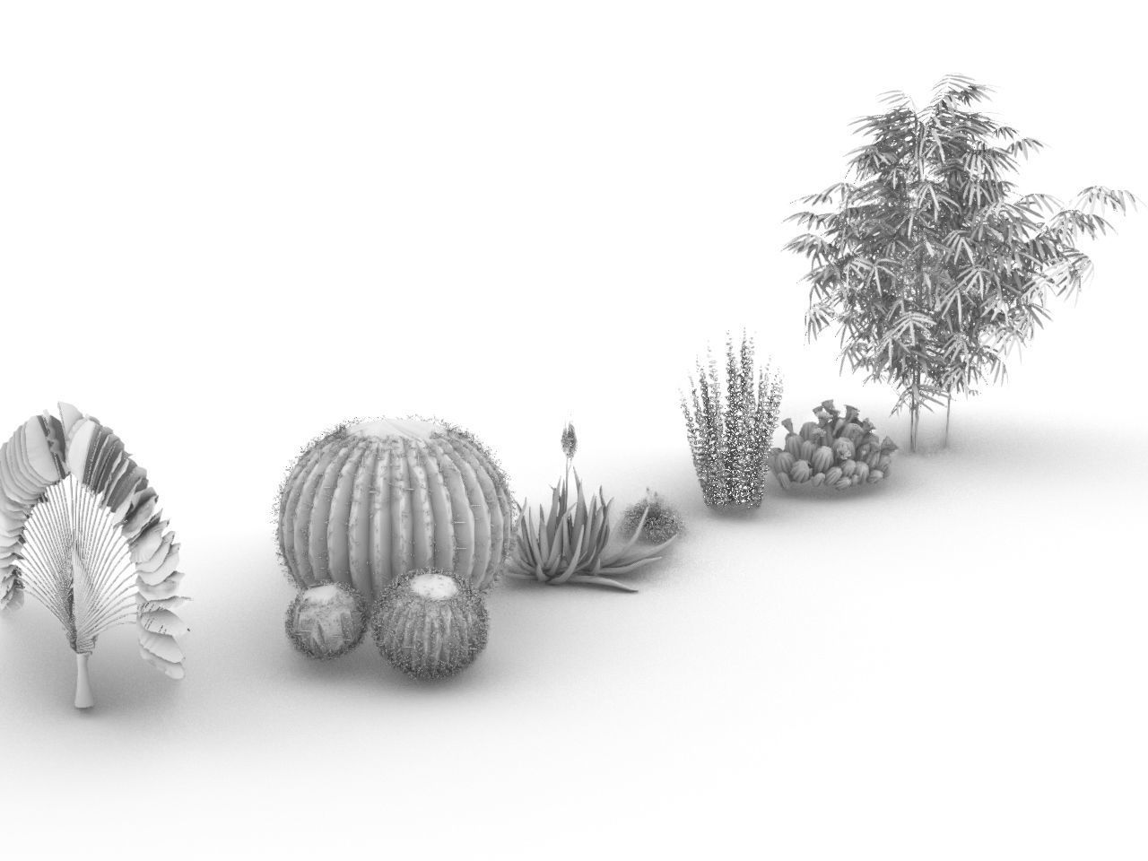 CACTI PACK Low-poly 3D model_1