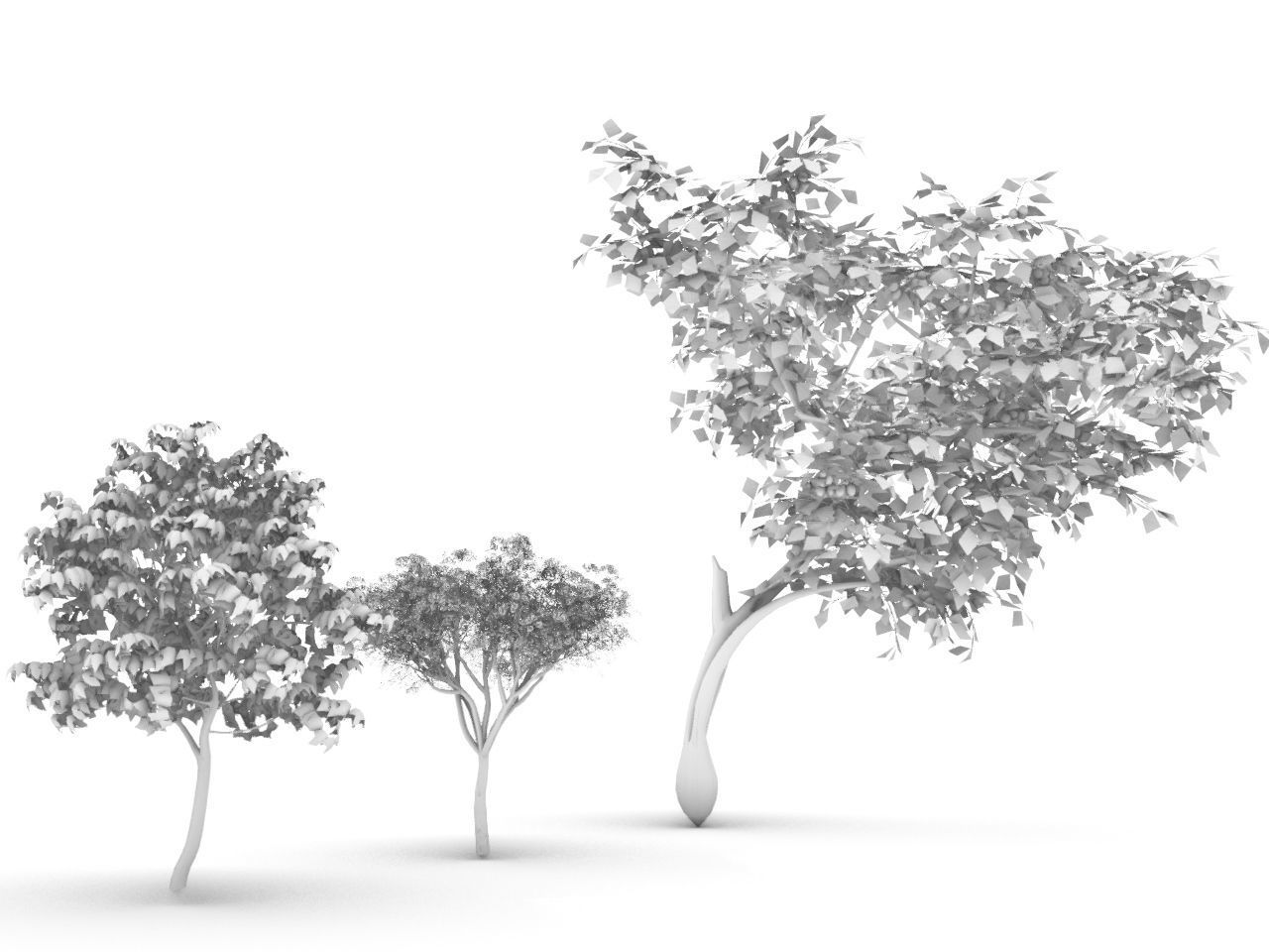 TREE PACK Low-poly 3D model_8
