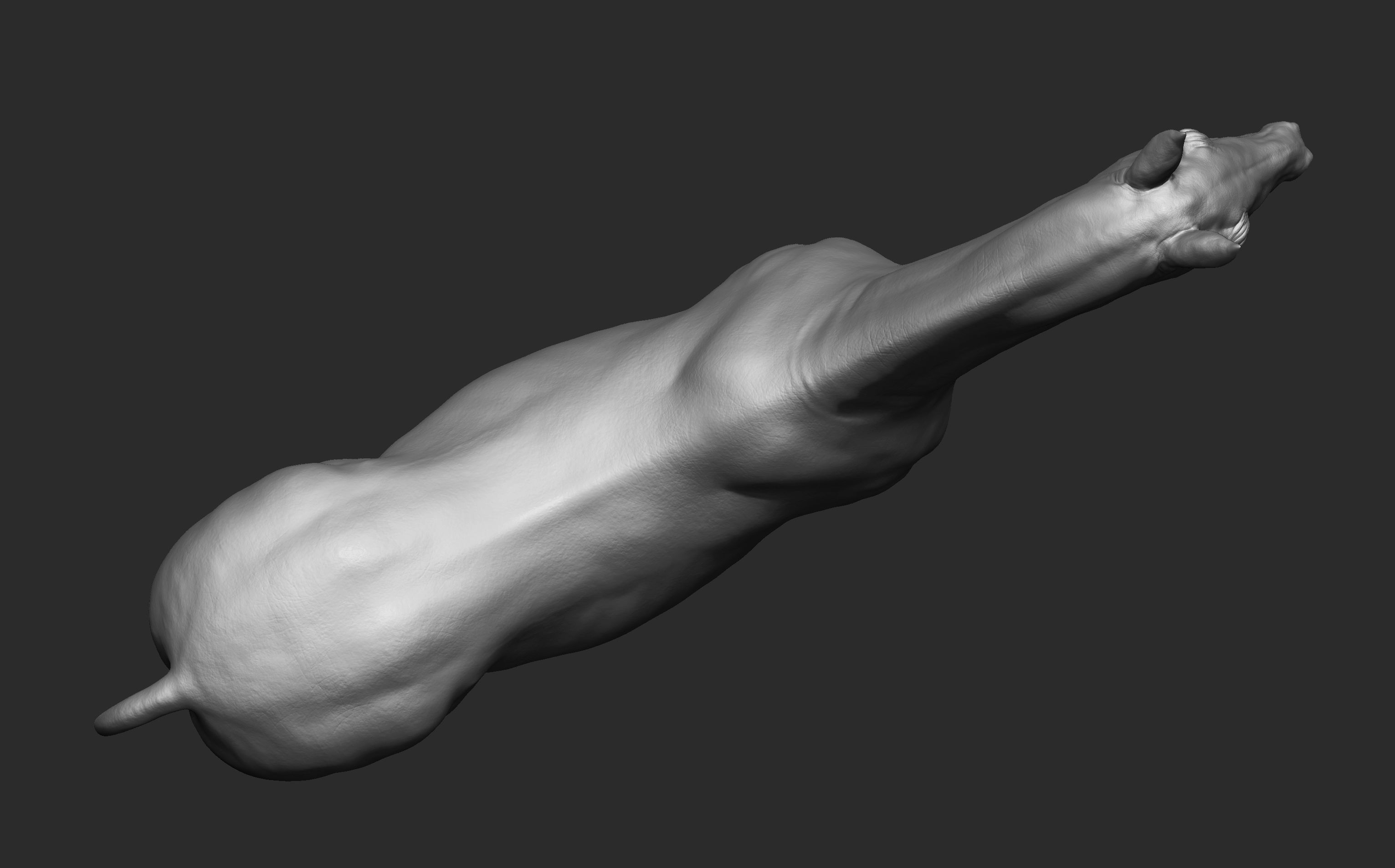 Stallion - Sculpt 3D model_20