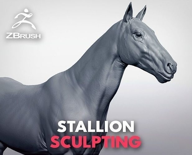 Stallion - Sculpt 3D model