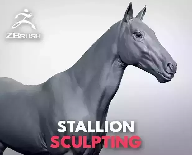 Stallion - Sculpt 3D model