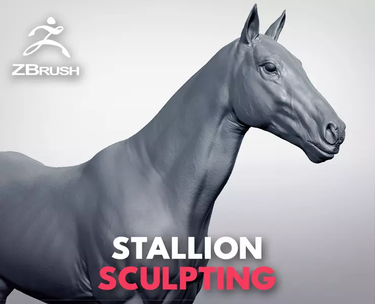 Stallion - Sculpt 3D model_0