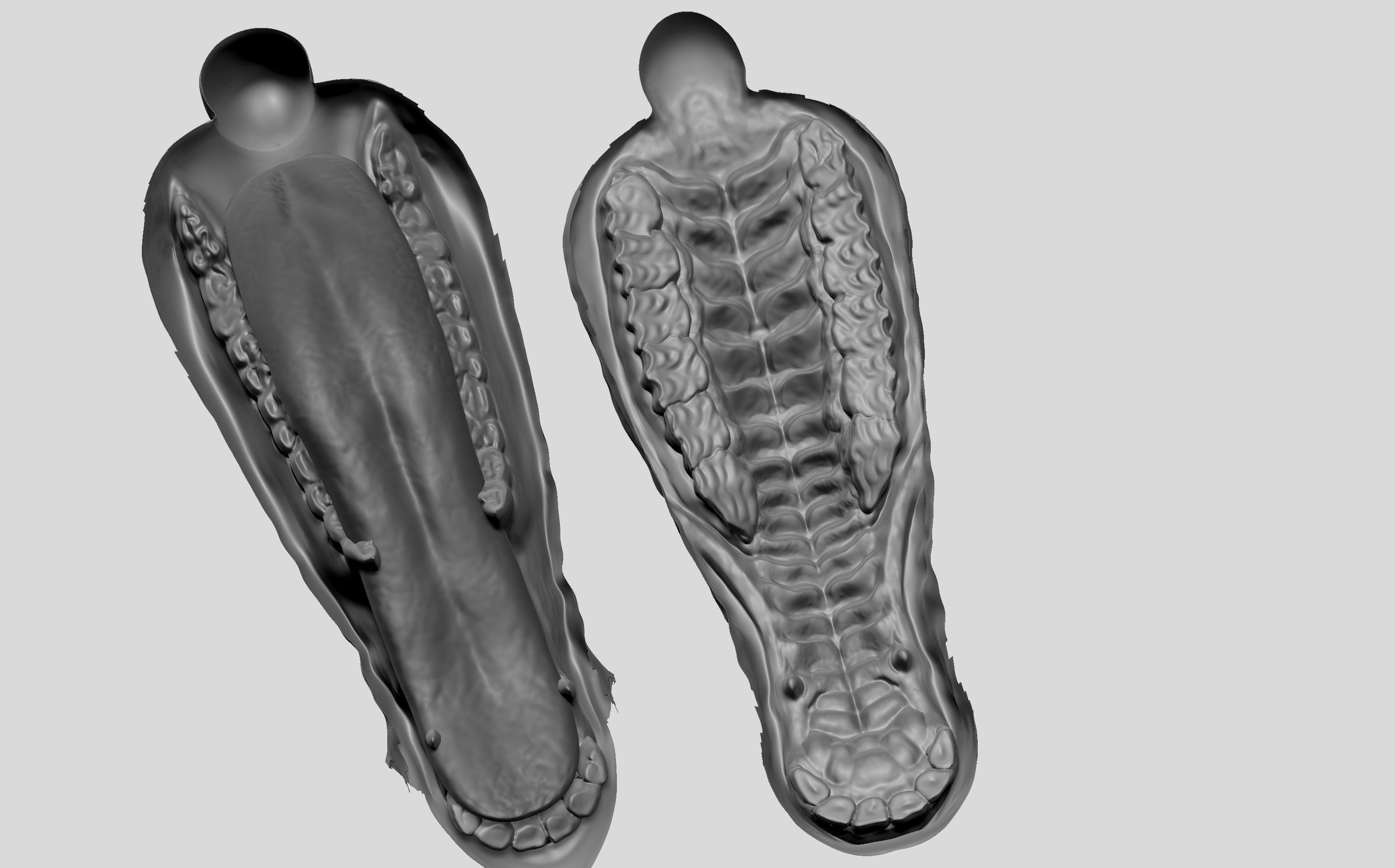 Stallion - Sculpt 3D model_13