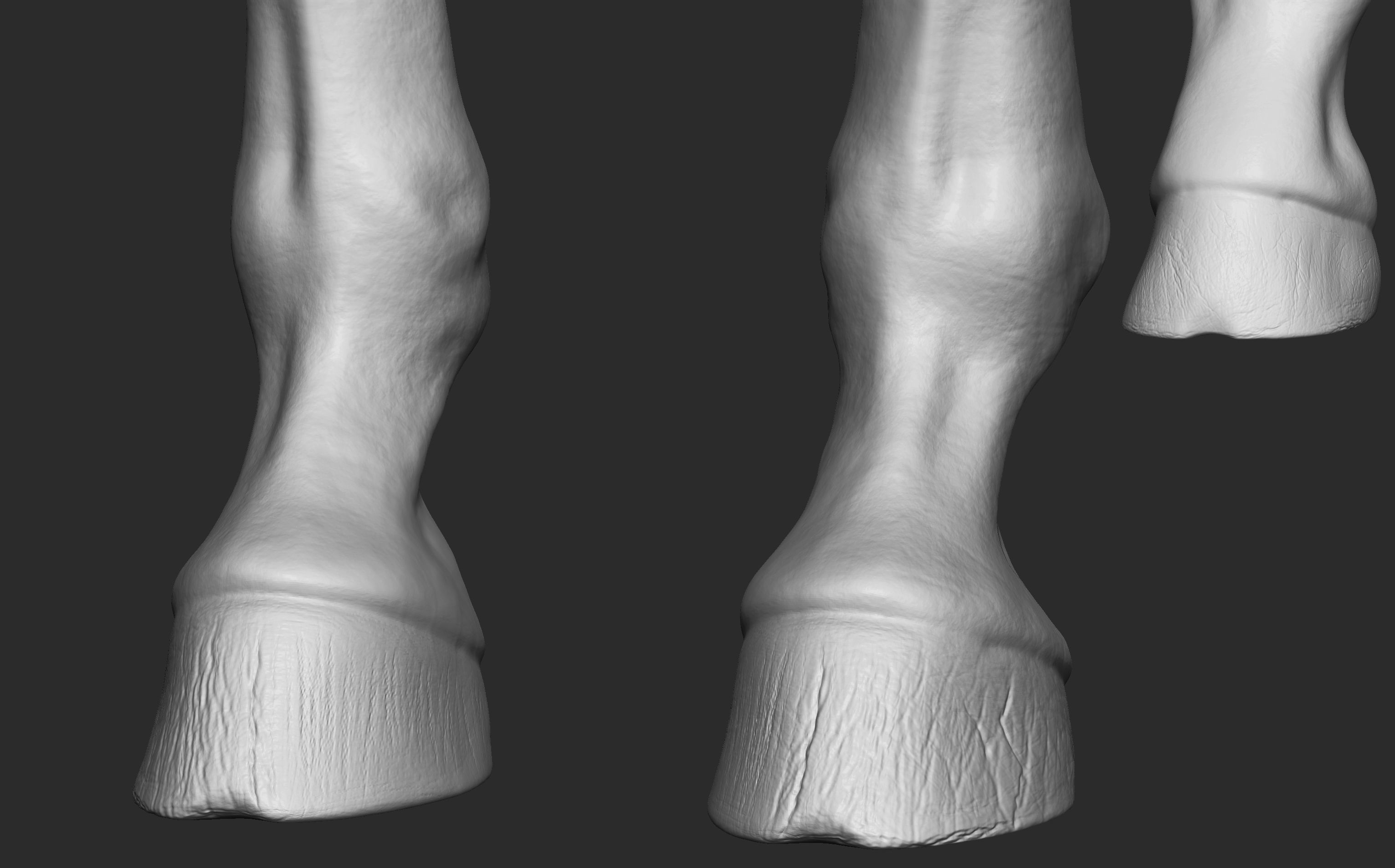 Stallion - Sculpt 3D model_17