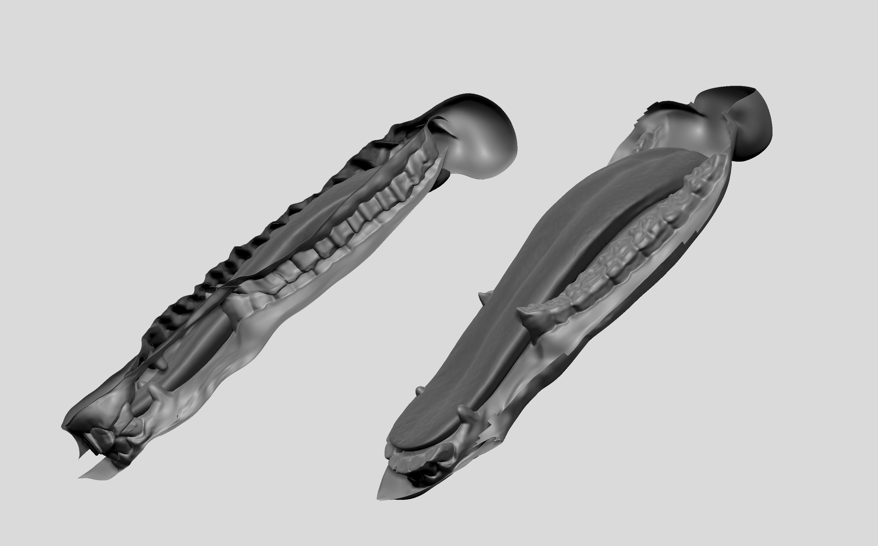 Stallion - Sculpt 3D model_14