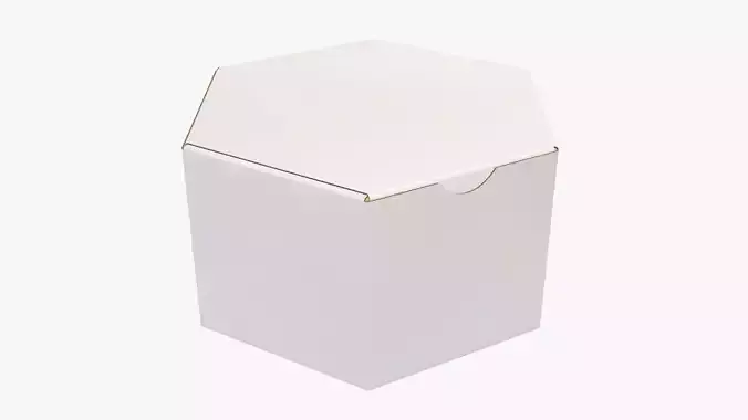 Paper box hexagonal closed 01 corrugated cardboard white 3D model