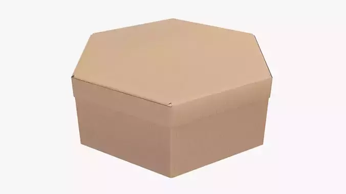 Paper box hexagonal packaging closed 02 corrugated cardboard