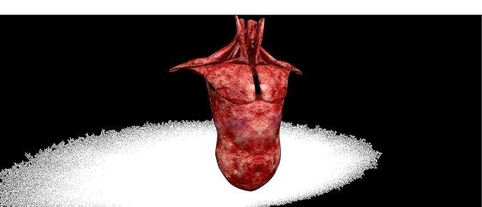 Trapezius human scrotum Free 3D model