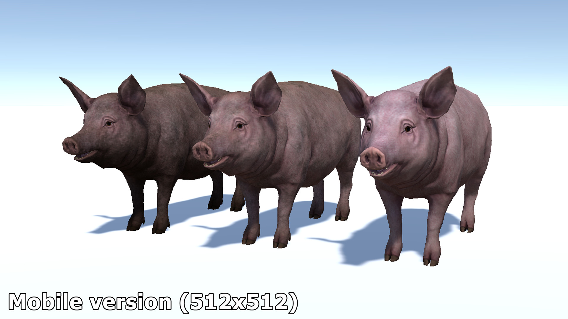 Pig - Female Low-poly 3D model_13
