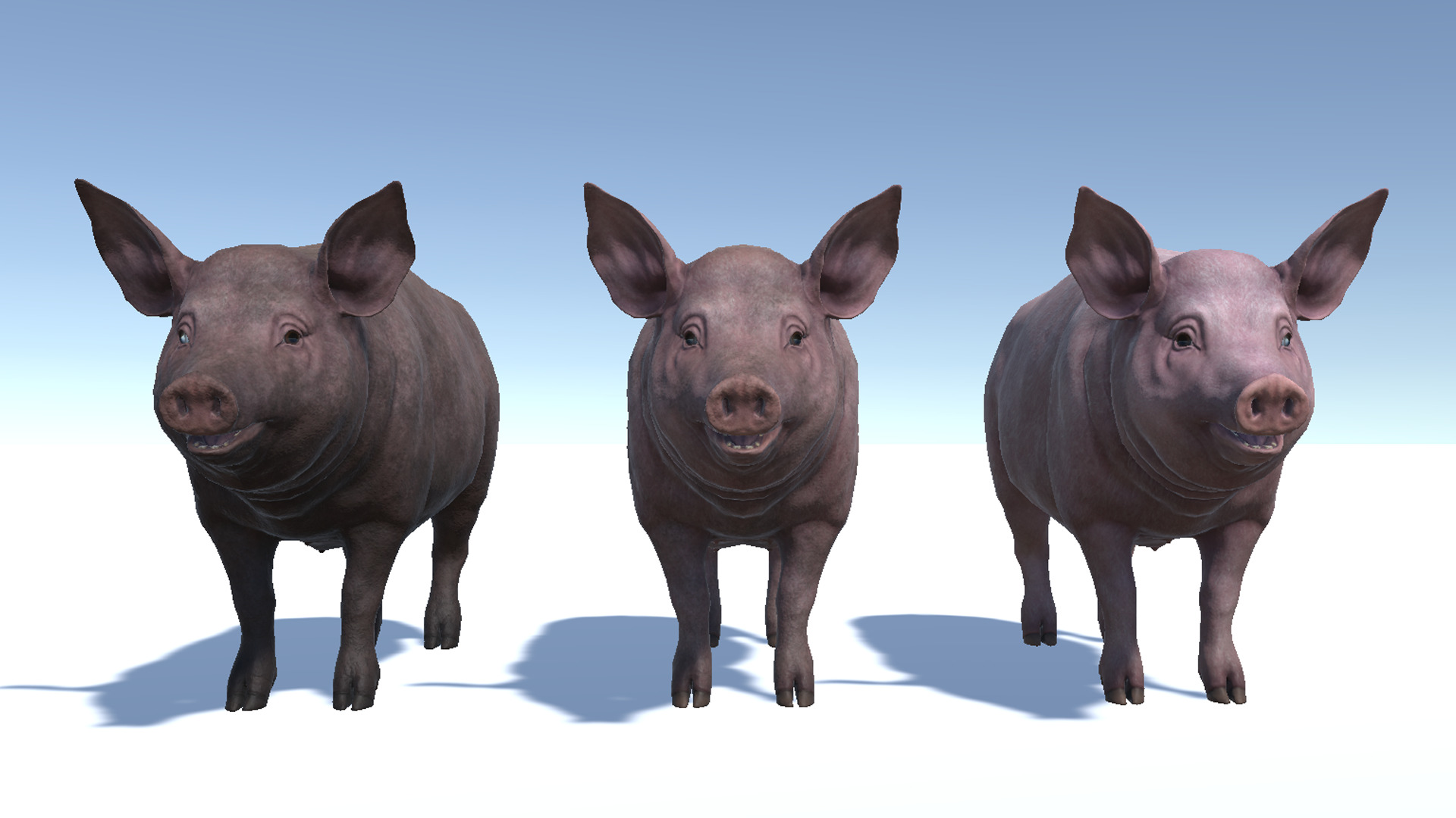 Pig - Female Low-poly 3D model_8