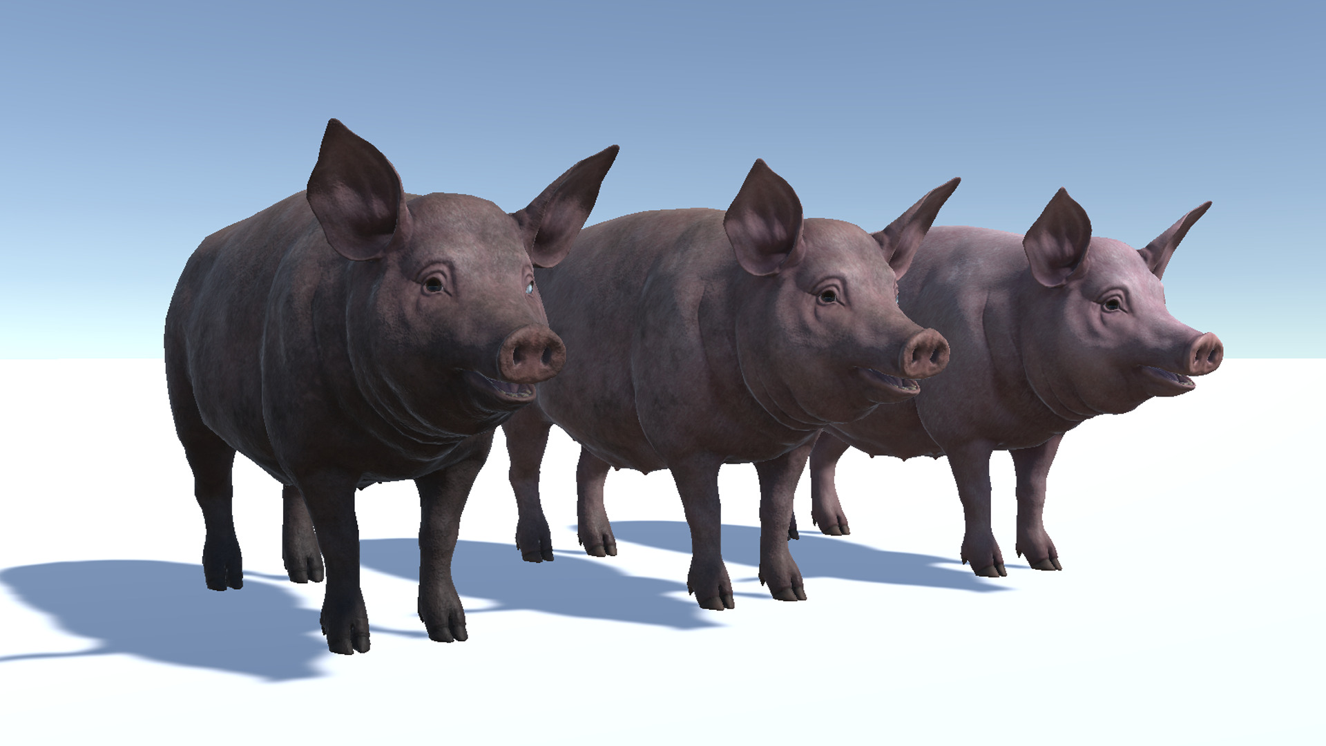 Pig - Female Low-poly 3D model_9