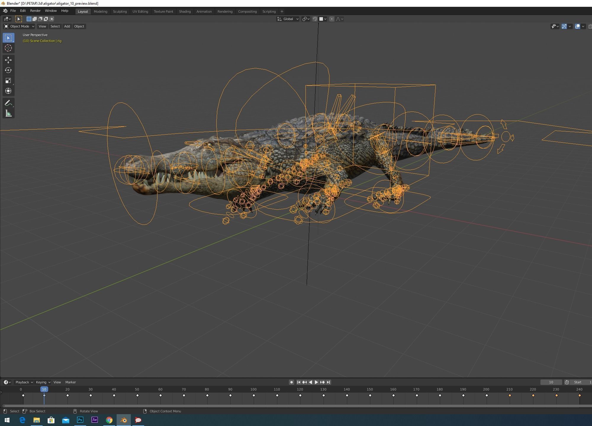 Aligator crocodile 3D model_5