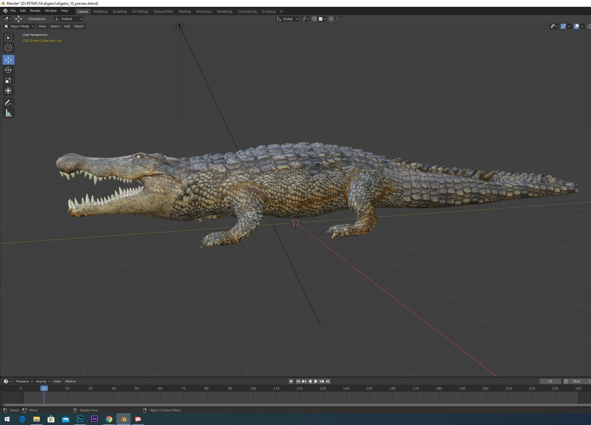 Aligator crocodile 3D model_14