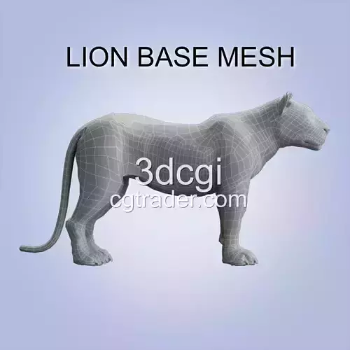 Lion Big Cat base mesh 3d model