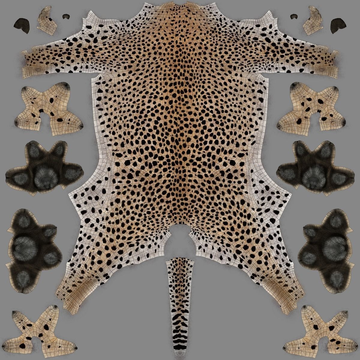 Cheetah Animated  3D model_24