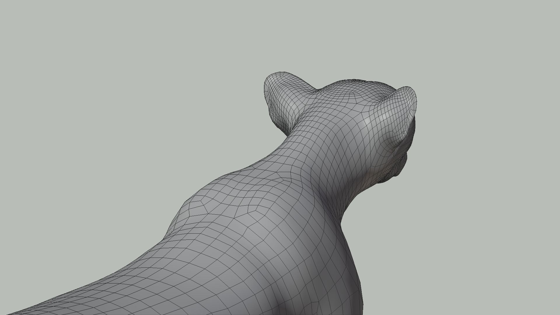 Cheetah Animated  3D model_22