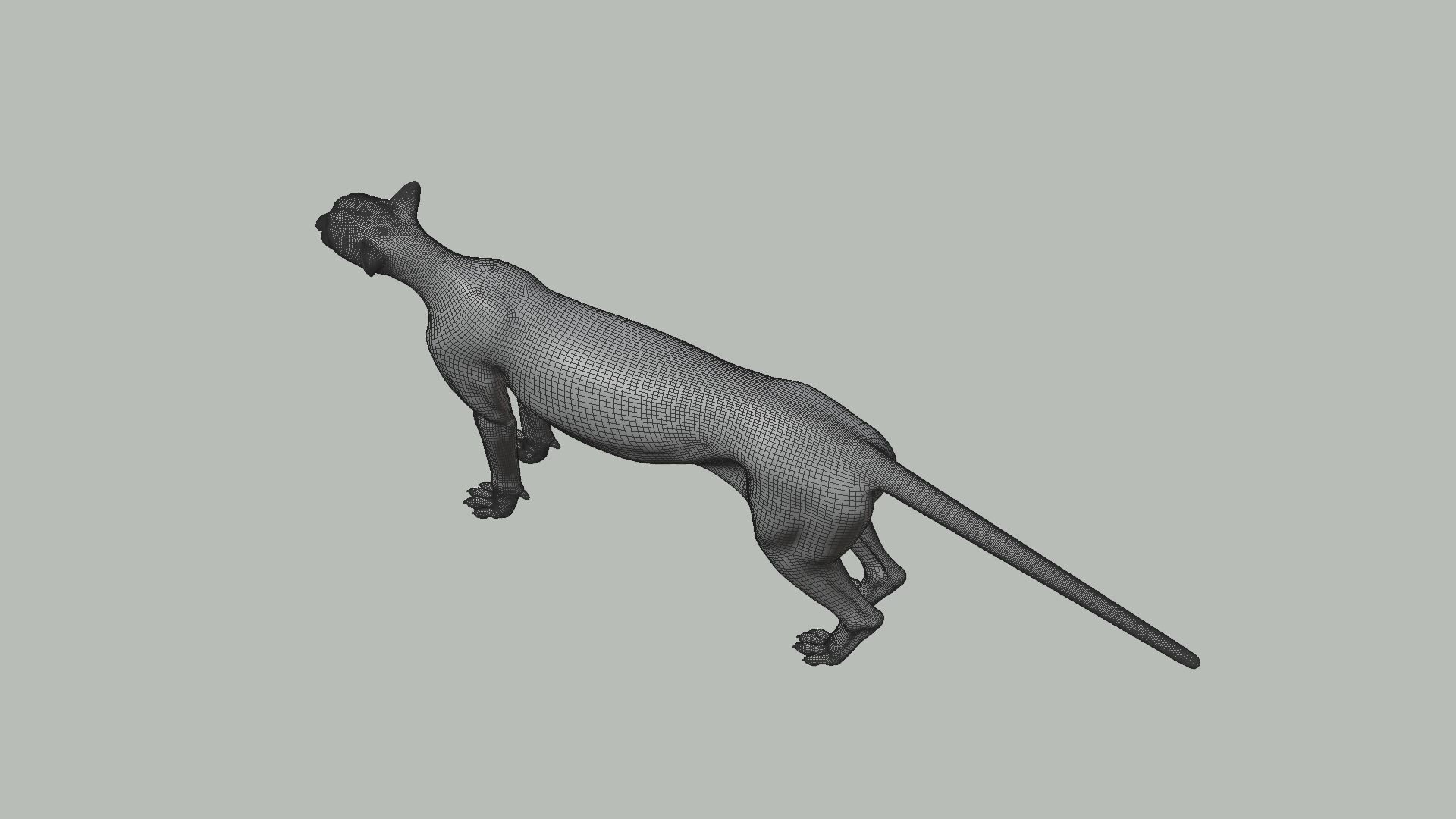 Cheetah Animated  3D model_20