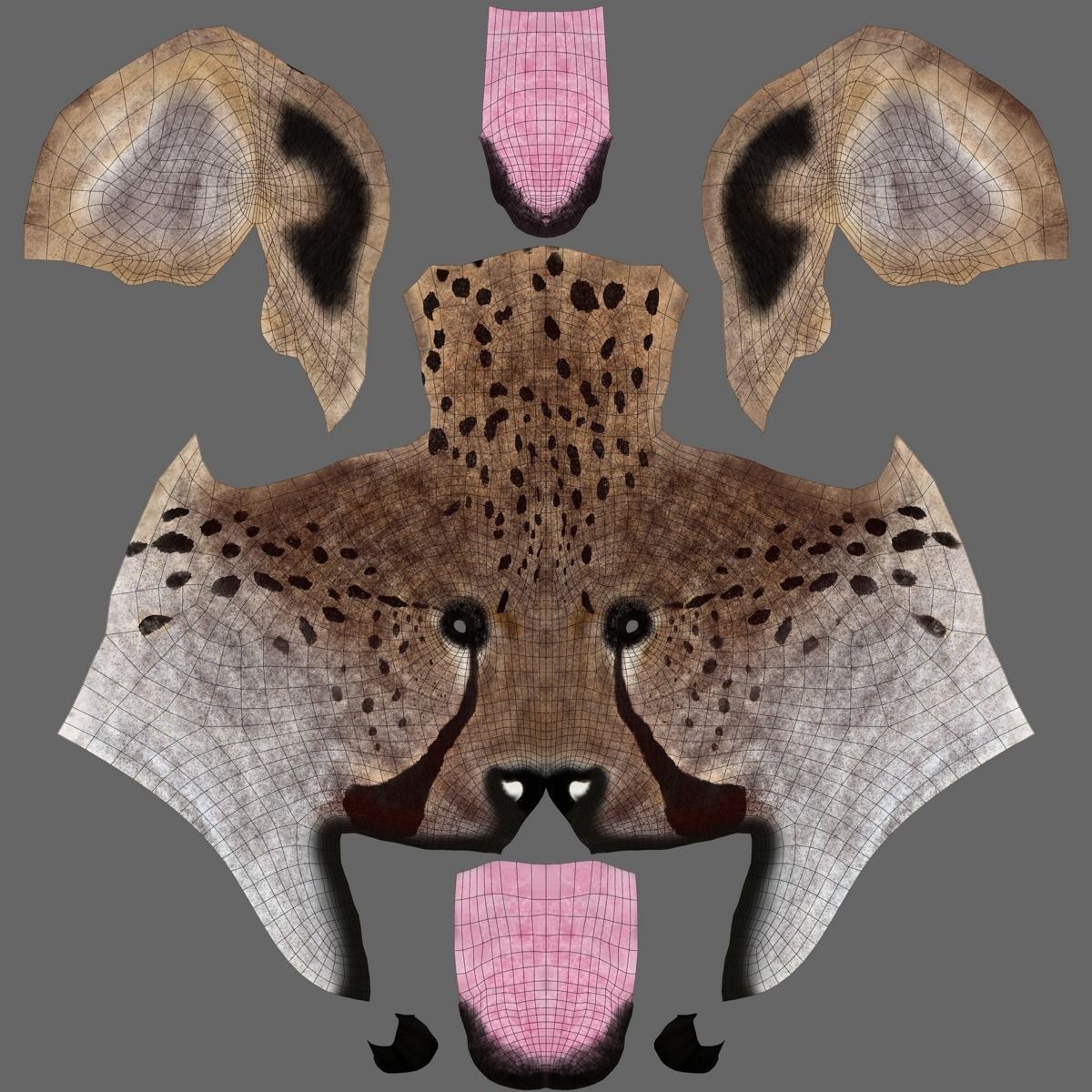 Cheetah Animated  3D model_25