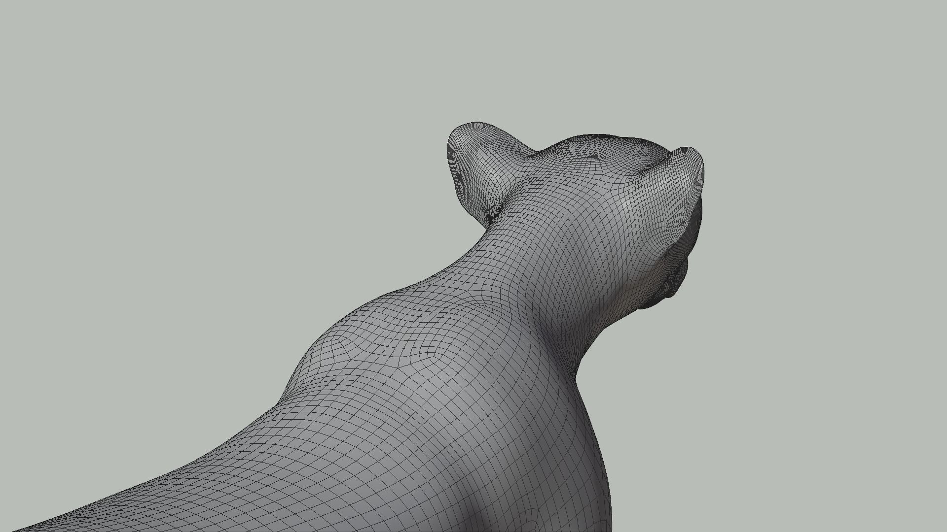 Cheetah Animated  3D model_21