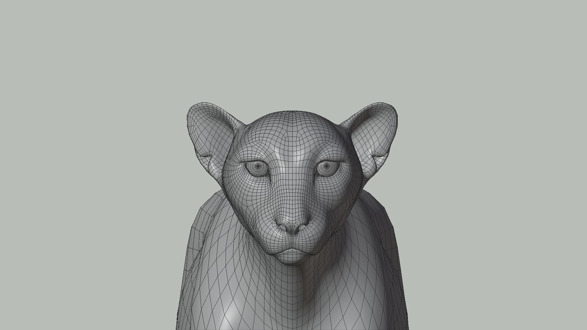 Cheetah Animated  3D model_23