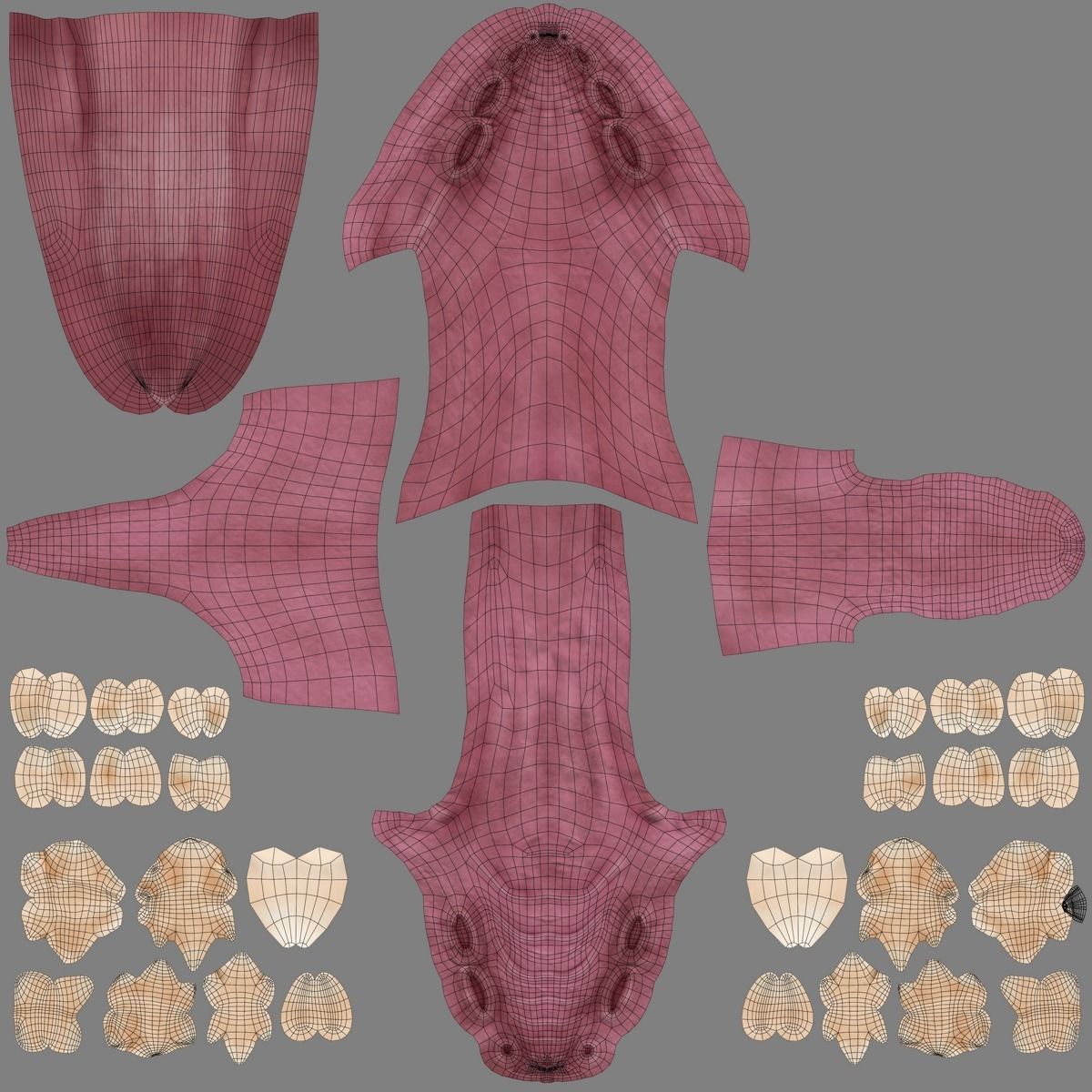 Cheetah Animated  3D model_26