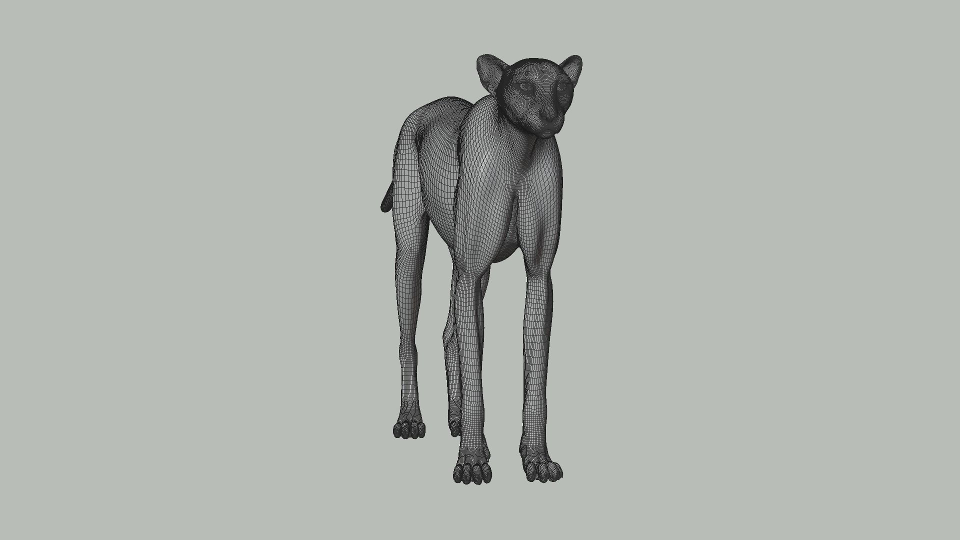 Cheetah Fur 3D model_4