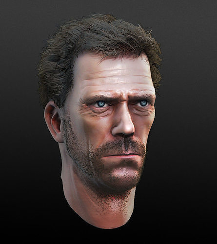 Hugh Laurie Bust 3D model