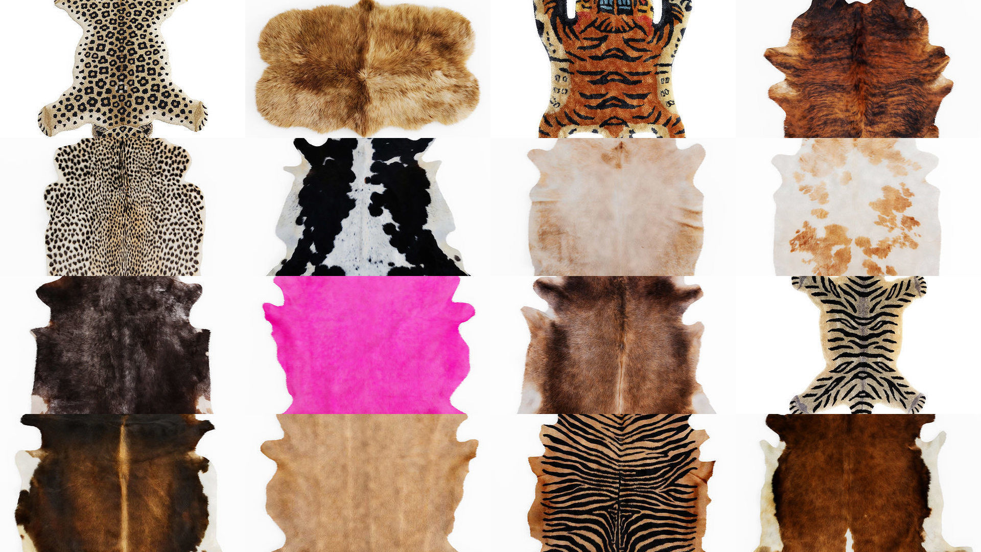 Collection of 39 animal skin rugs _1