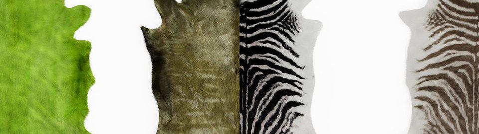 Collection of 39 animal skin rugs _3