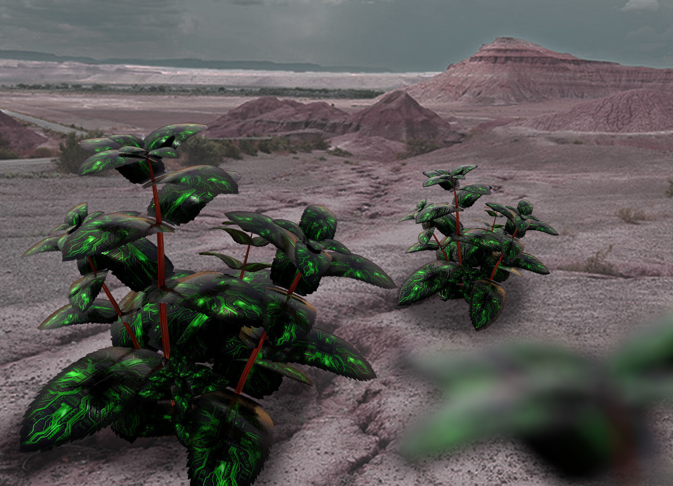 digital sci-fi plant Low-poly 3D model_1