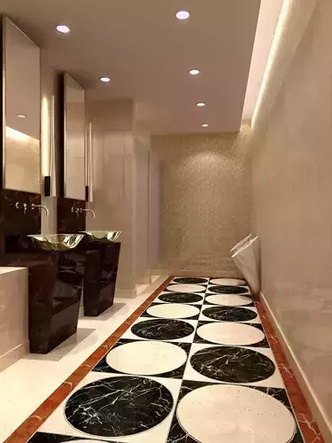 Hotel Toilet Design  