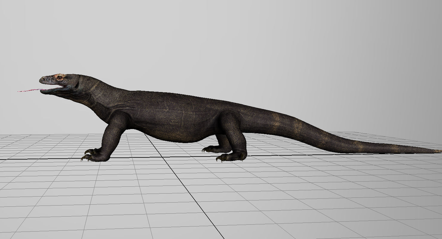 dragon komodo 3d model 3D model_2