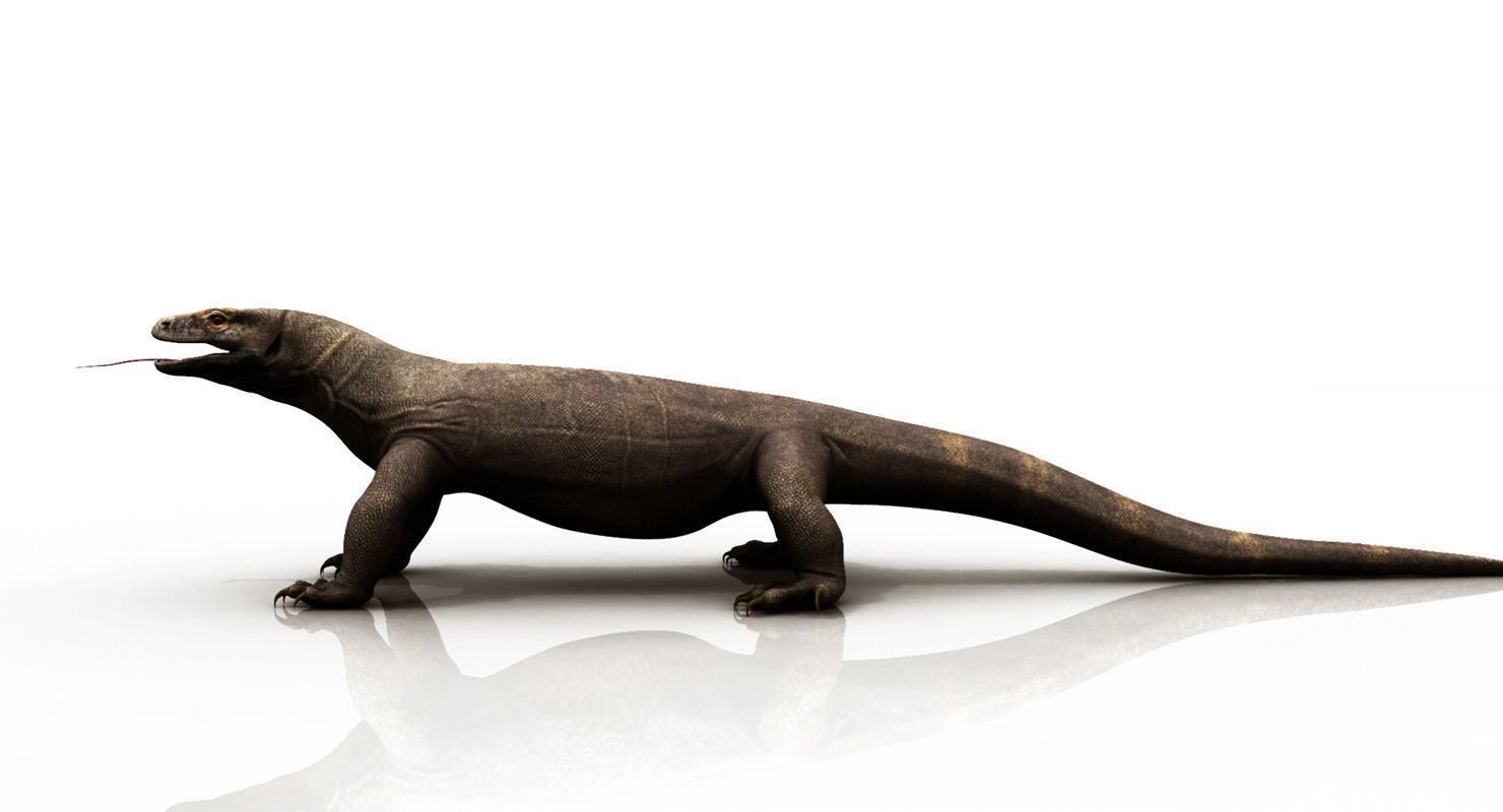 dragon komodo 3d model 3D model_12