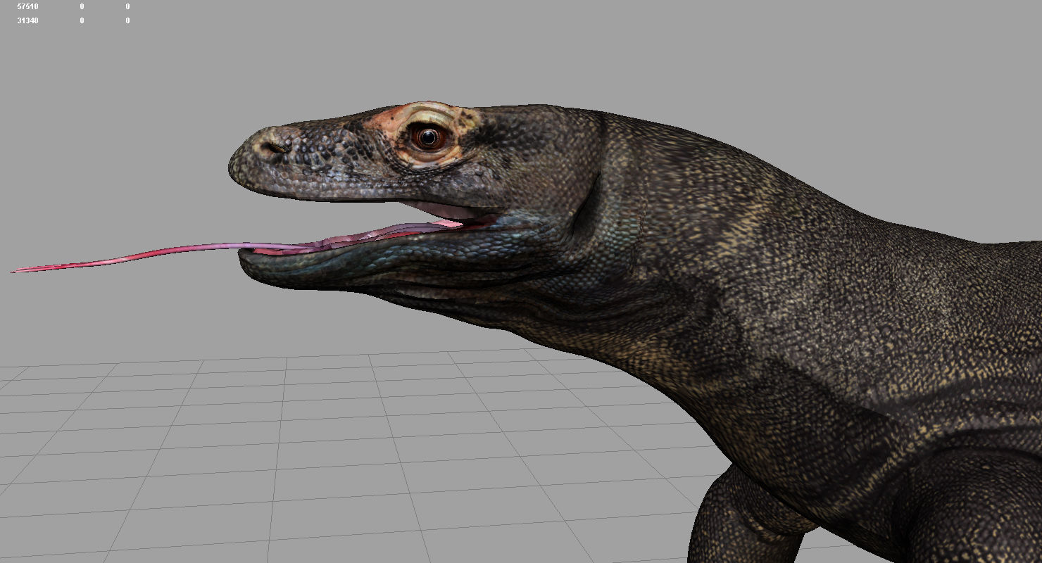 dragon komodo 3d model 3D model_9