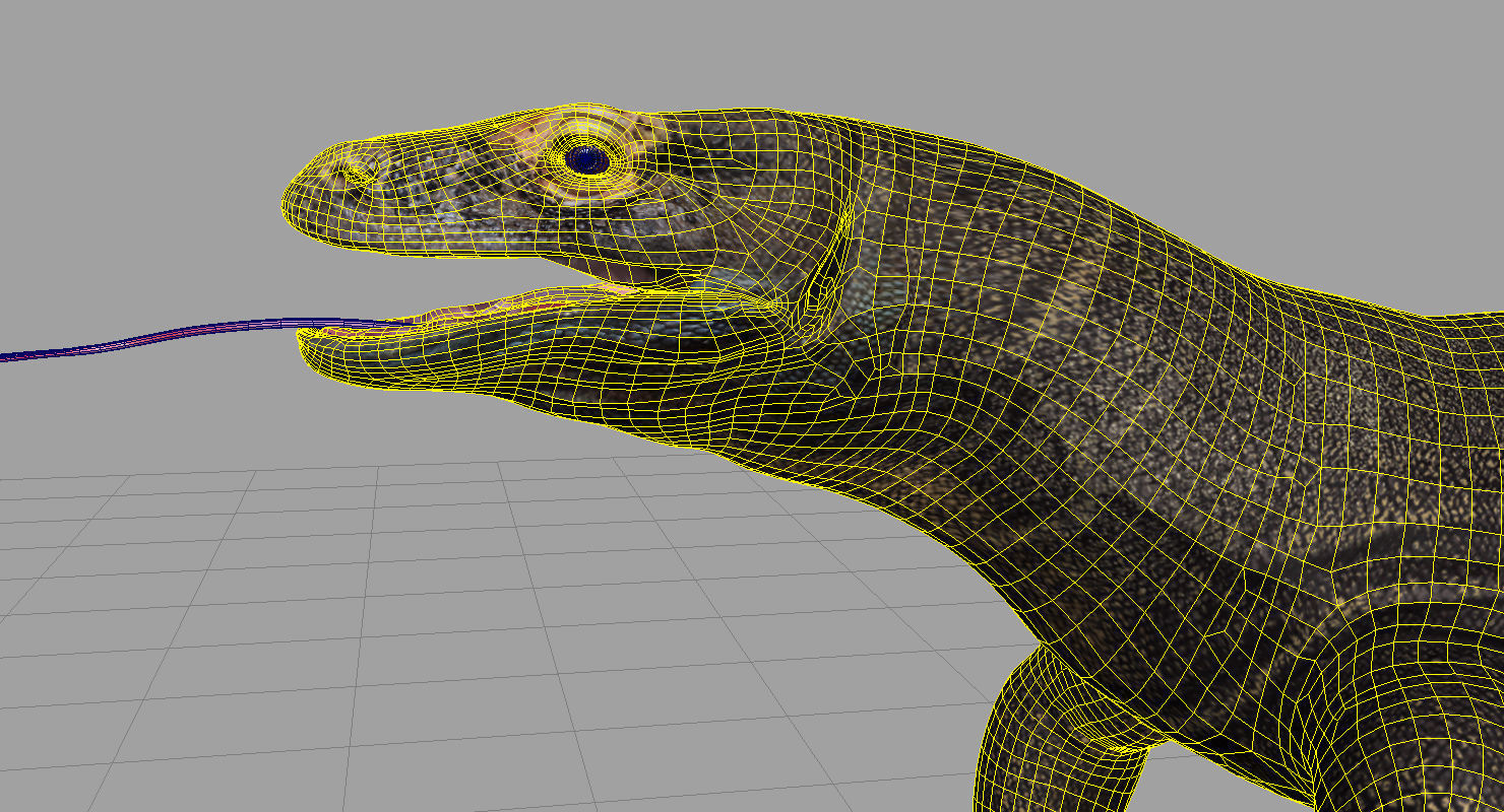 dragon komodo 3d model 3D model_8