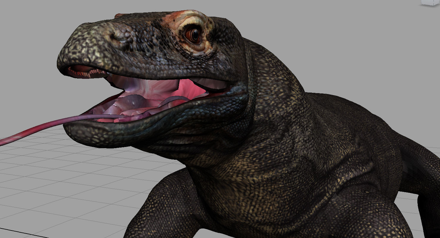 dragon komodo 3d model 3D model_10