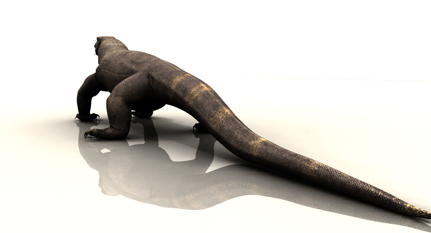 dragon komodo 3d model 3D model_15