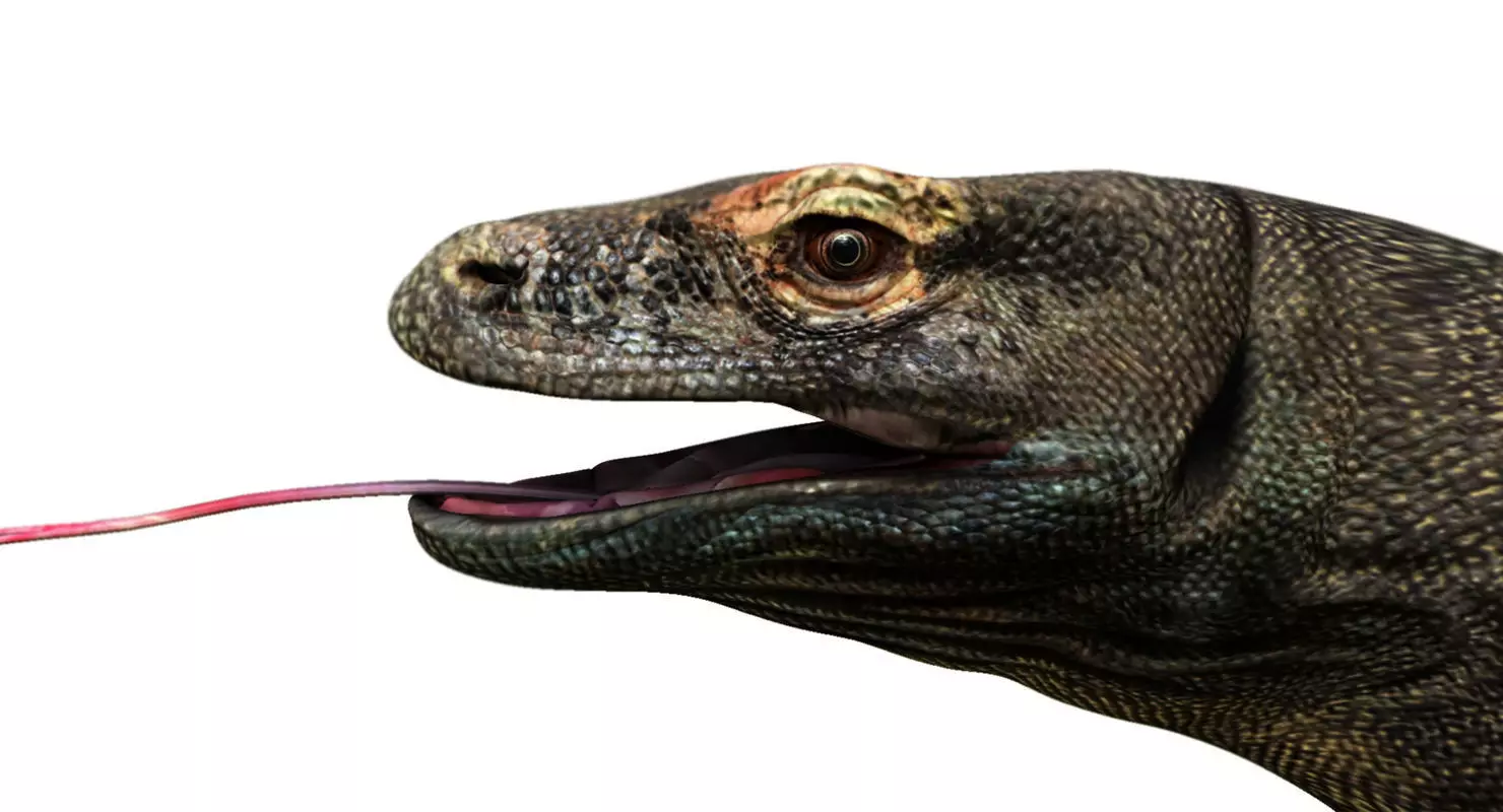 dragon komodo 3d model 3D model_0