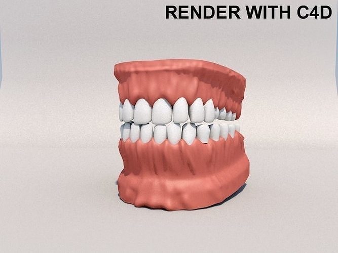 Human Mouth model 3D model 3D model