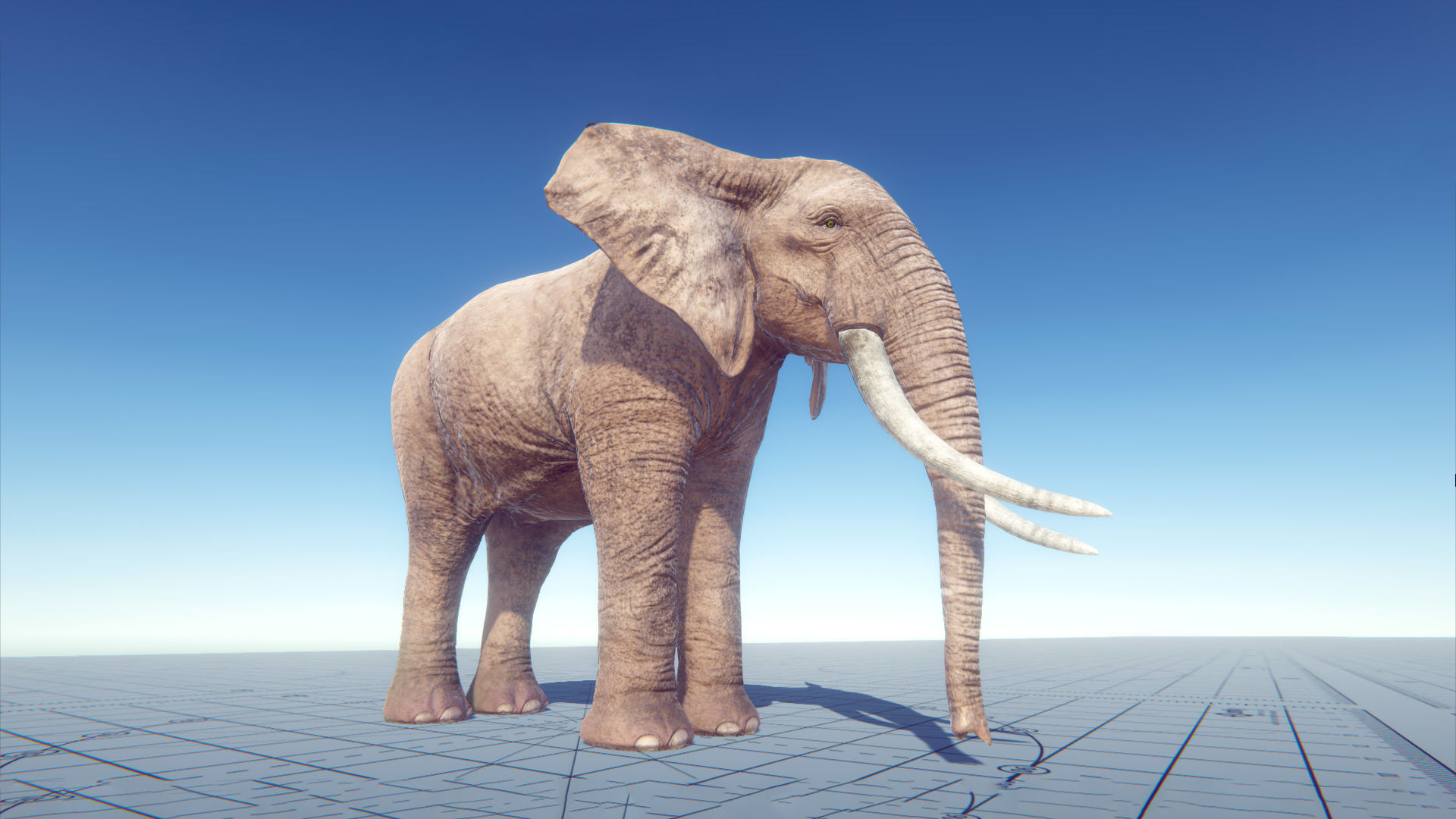 African Elephants Low-poly 3D model_9