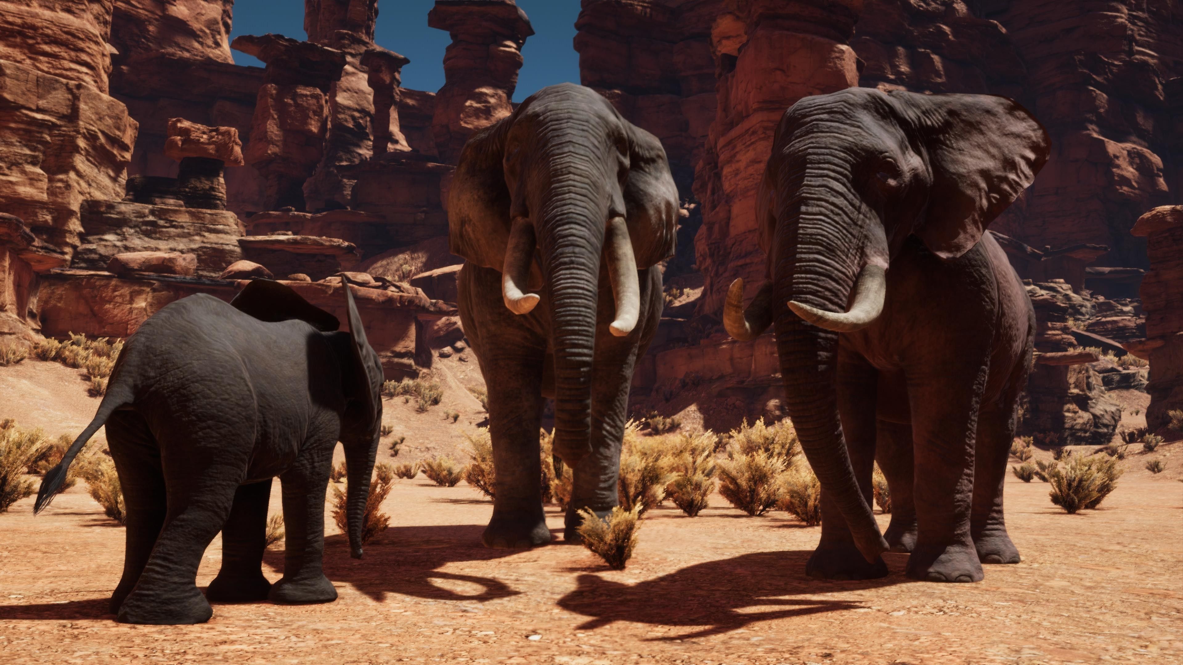 African Elephants Low-poly 3D model_18