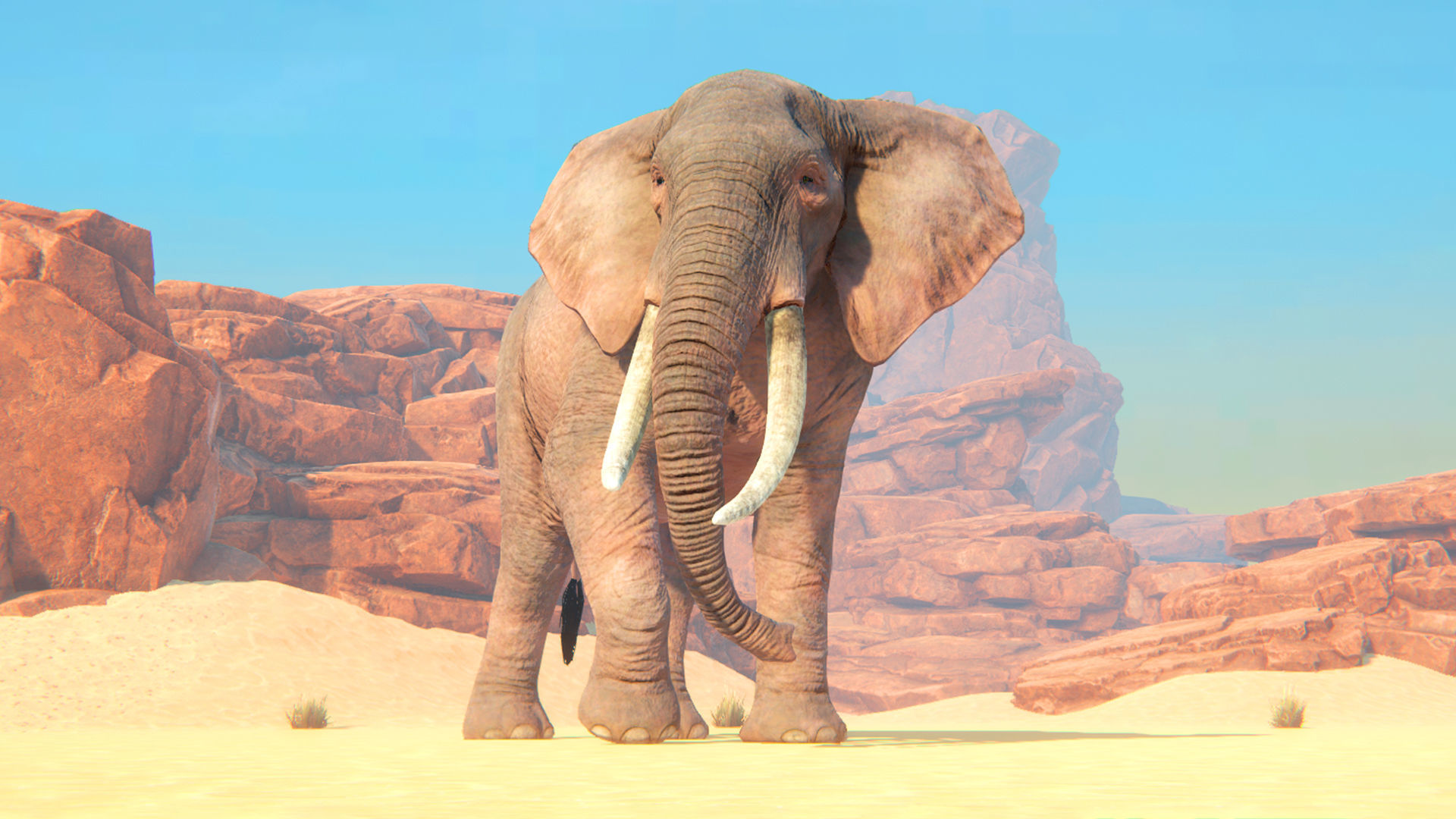 African Elephants Low-poly 3D model_6