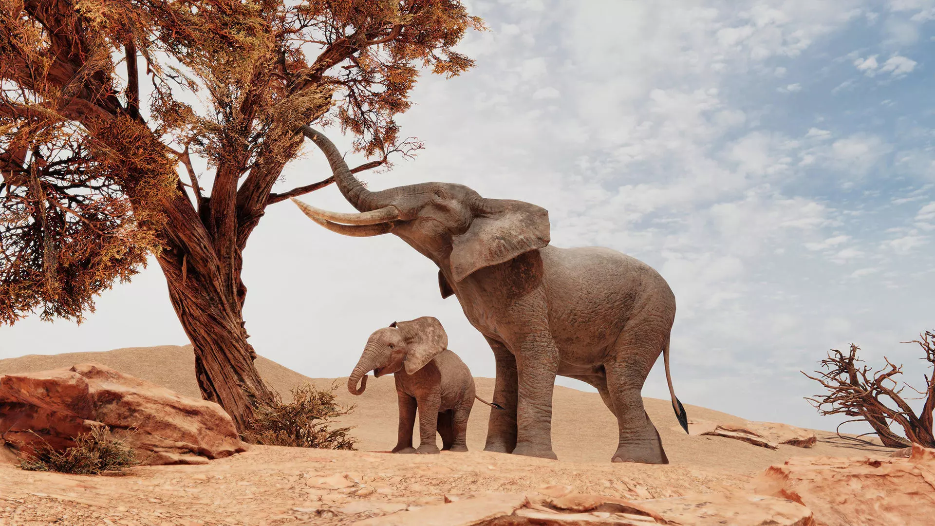 African Elephants Low-poly 3D model_0