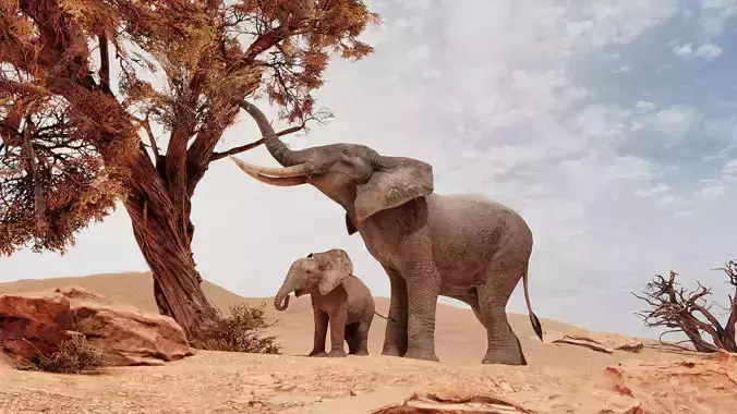 African Elephants Low-poly 3D model