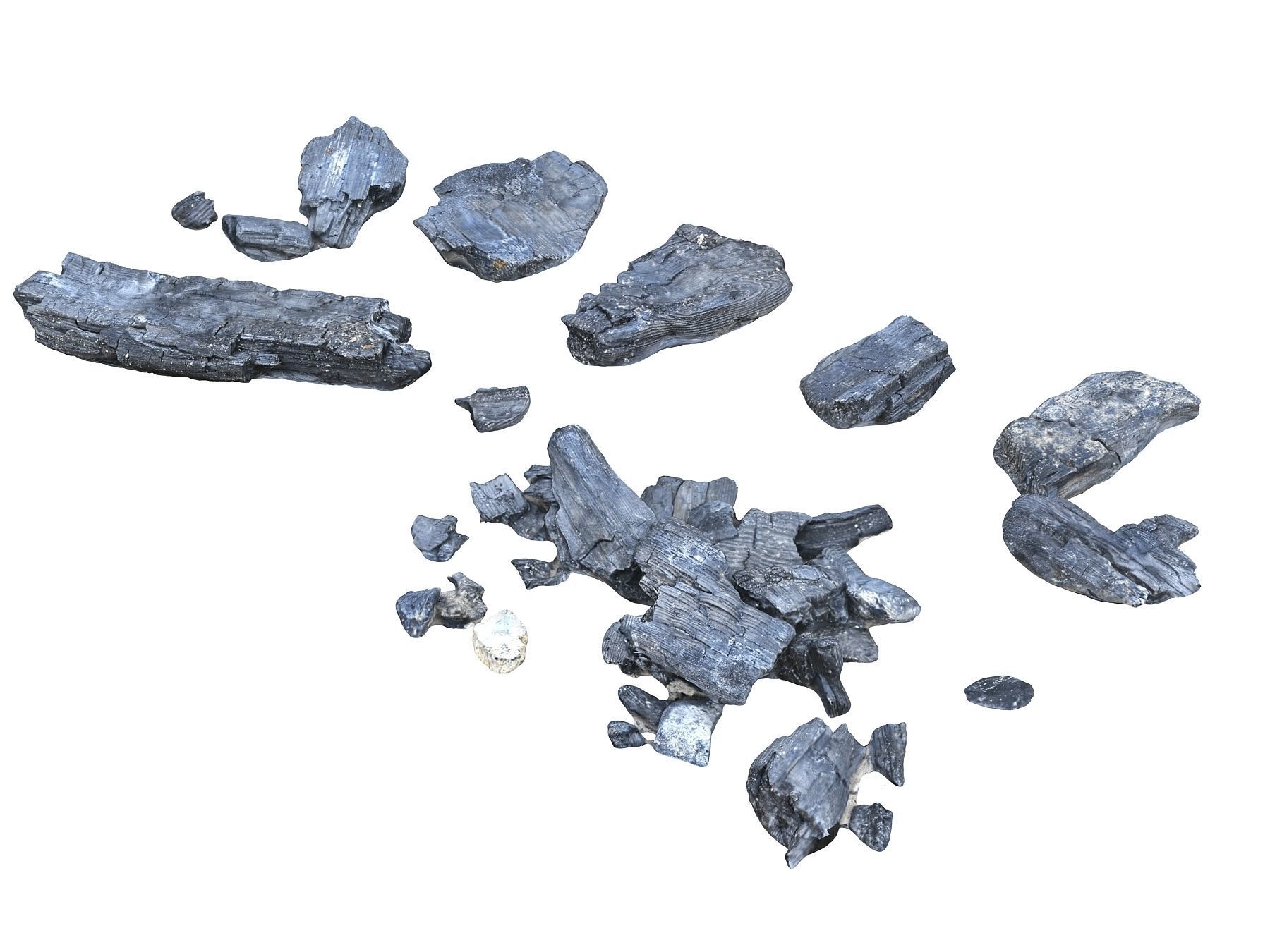 Burned Wood Low-poly 3D model_4