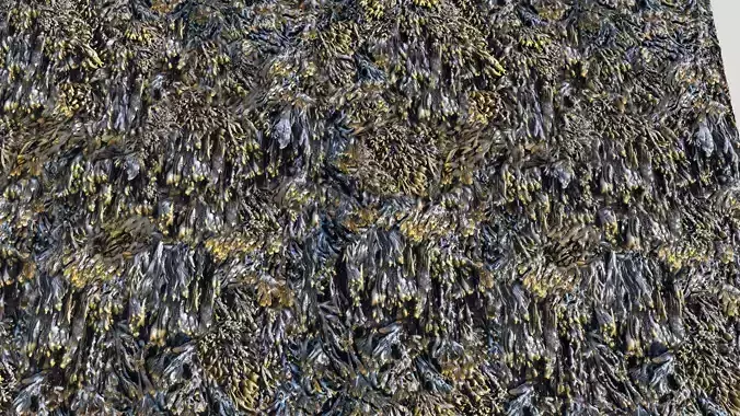 Seaweed textures  PBR Texture